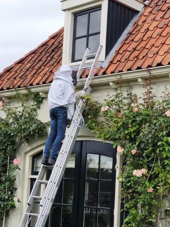  wespennest-verwijderen-brandweer